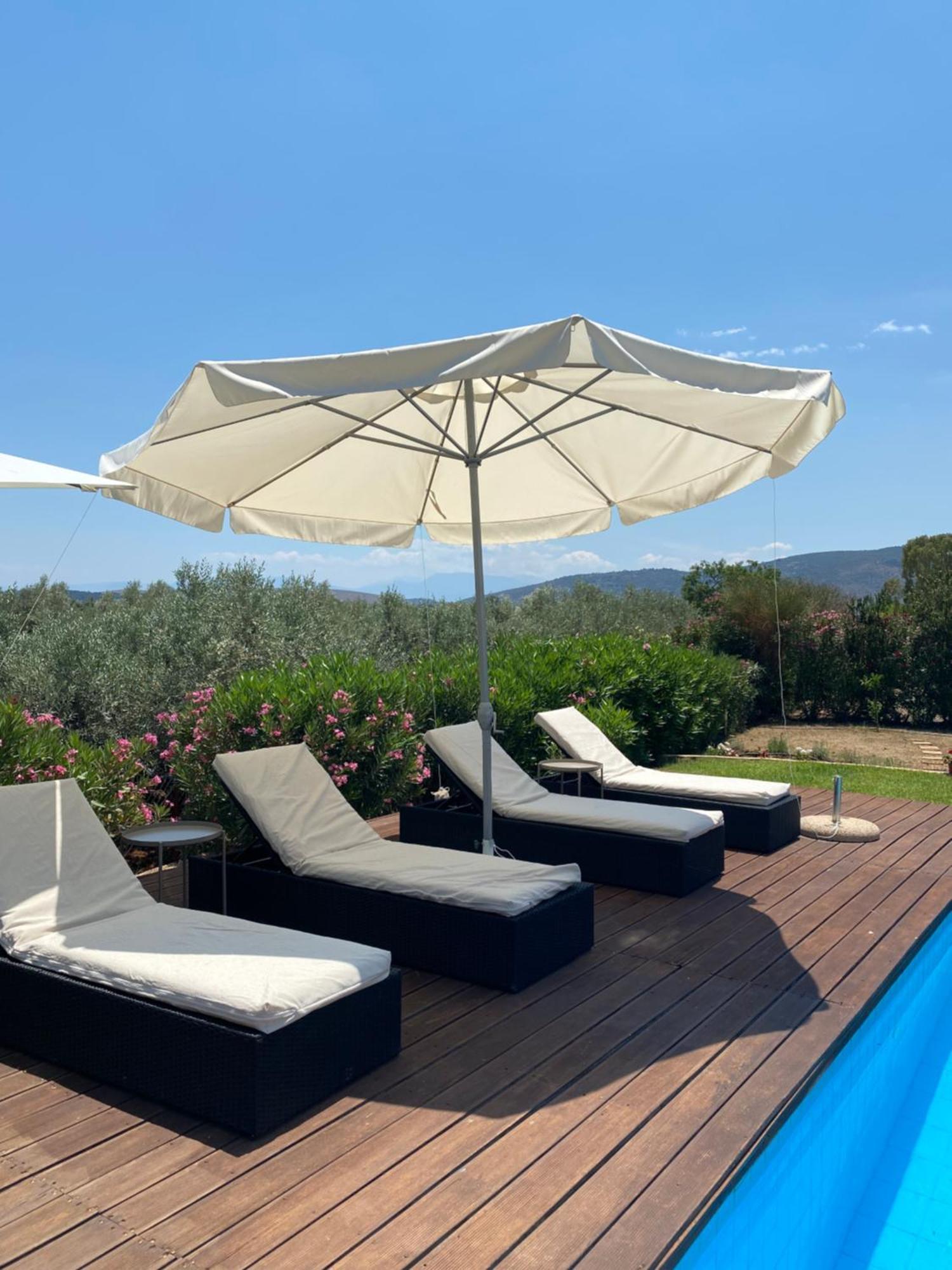 Georges Villa Galaxidi, Family, Pool And Garden Exterior foto