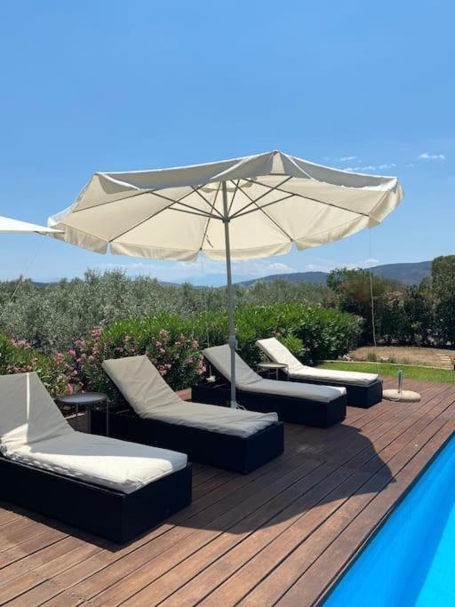 Georges Villa Galaxidi, Family, Pool And Garden Exterior foto